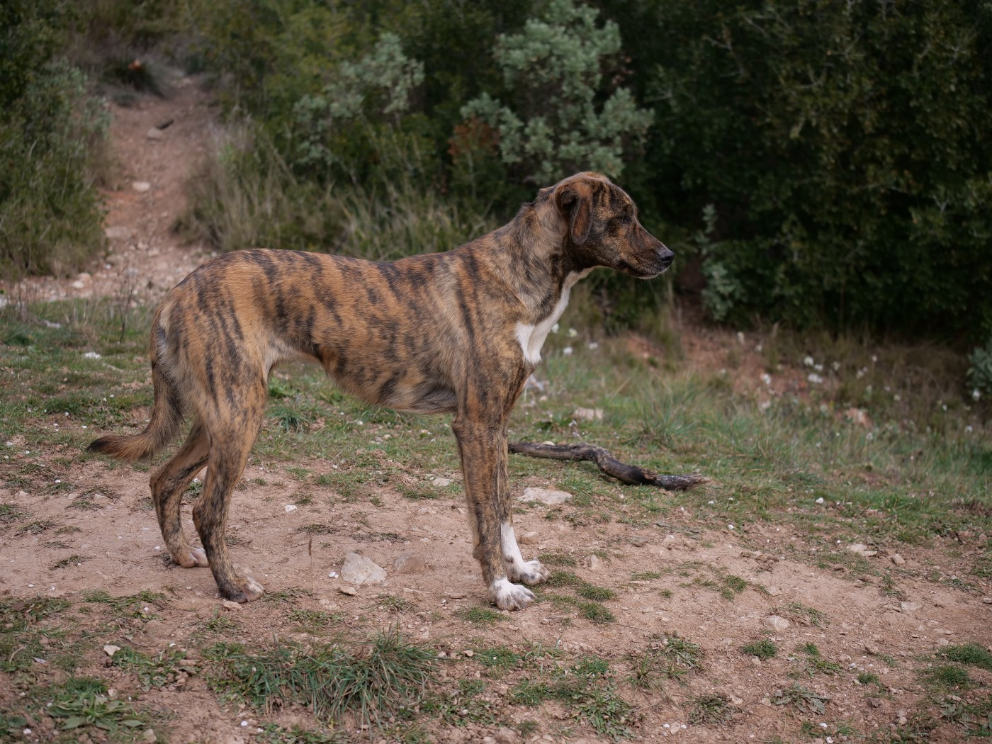 UBAYE Du Mont Venturi