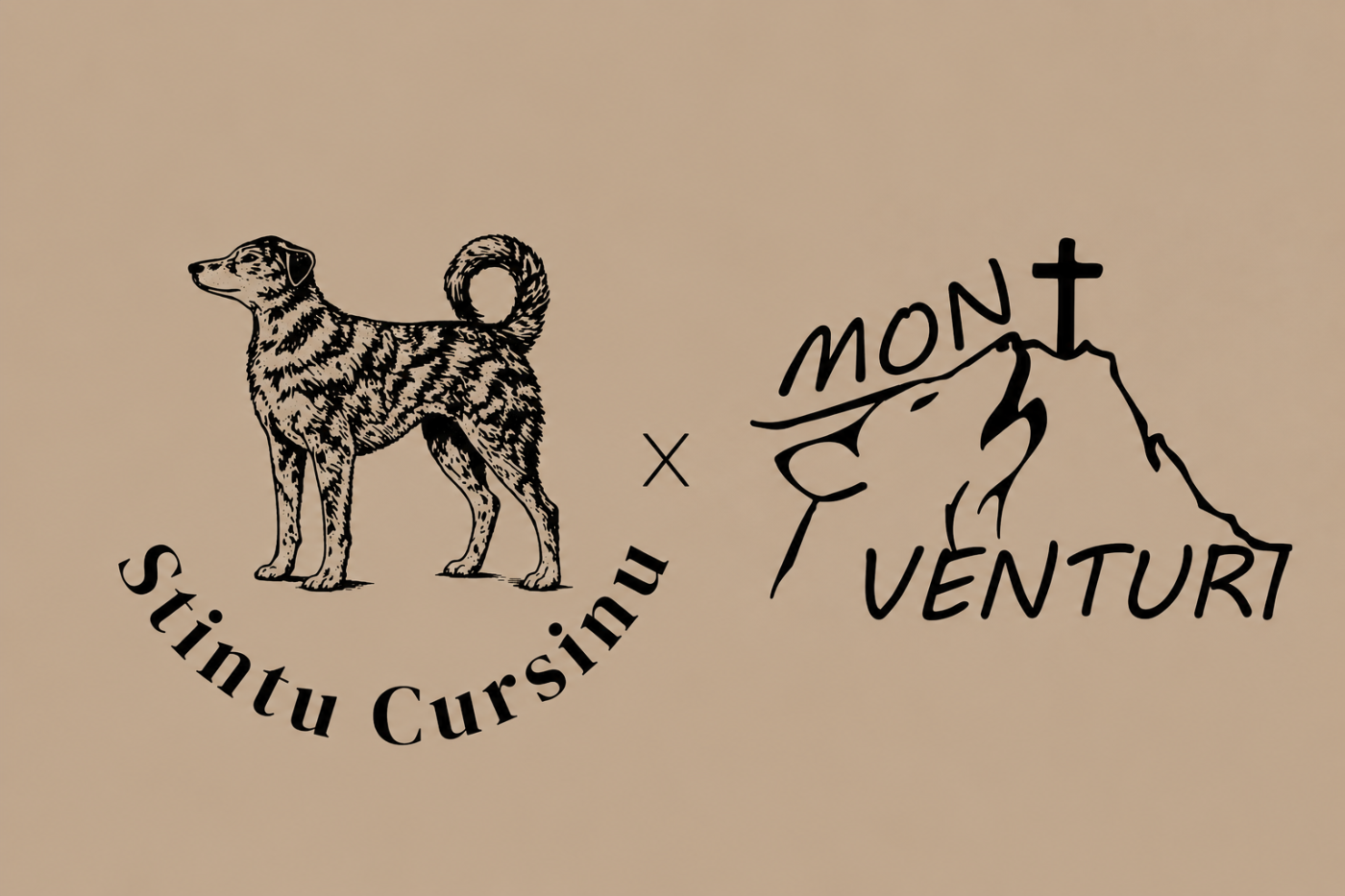  L'Élevage du Mont Venturi devient partenaire de STINTU CURSINU L'ÂME DU CHIEN CORSE.